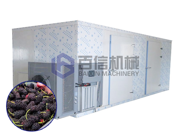 桑葚烘幹機