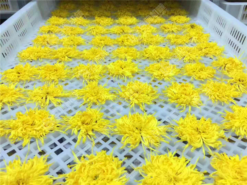 菊花烘幹機